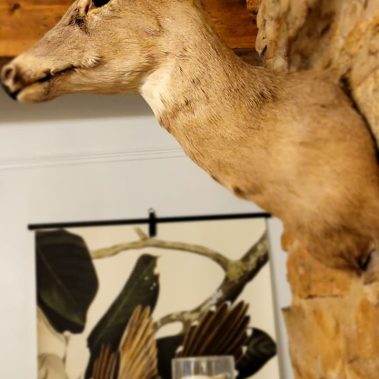 Beechwood Inn - Clayton, GA - Living Room