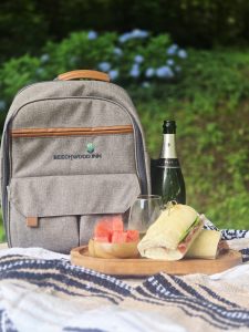 Picnic Adventures in the North Georgia Mountains