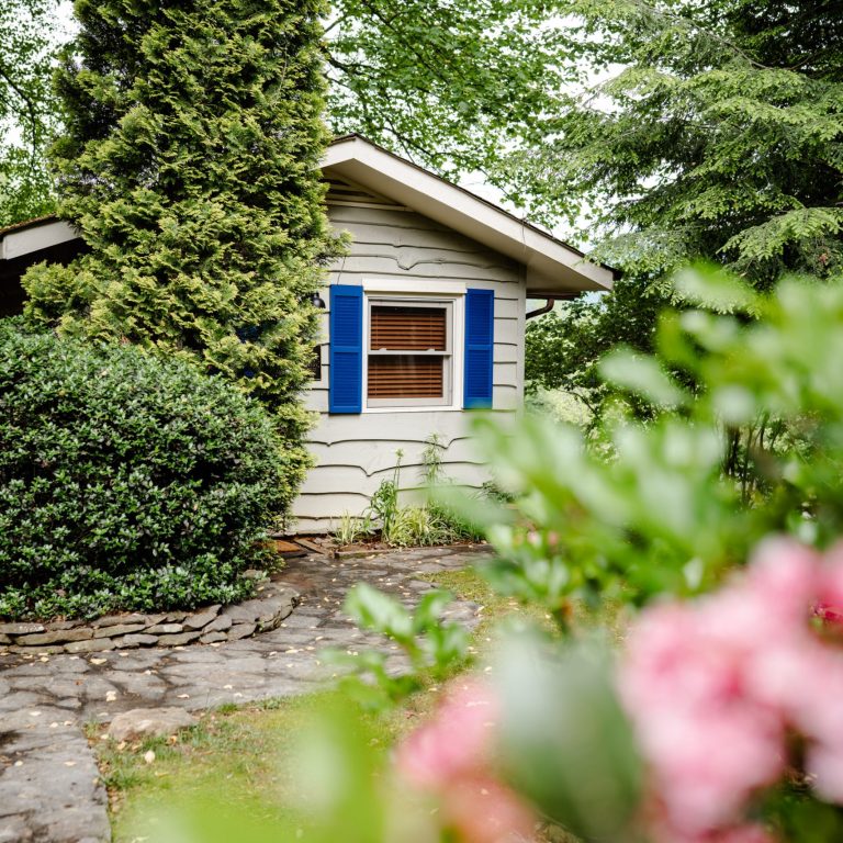 Beechwood Cabins Beechwood Cabins