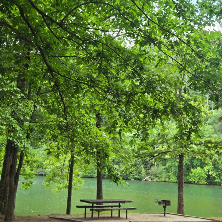 Lake Rabun Picnic