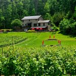 Scenic Road Trip to the North Georgia Mountains