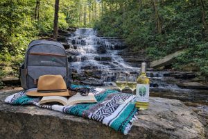 waterfalls -Beechwood Picnic at Minnehaha Falls