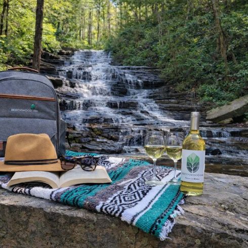 Beechwood Inn Picnic at Minnehaha Falls
