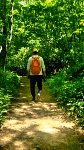 Person walking away on a forest trail with an orange backpack seen from behind