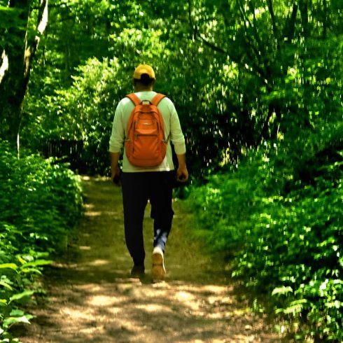 Person walking away on a forest trail with an orange backpack seen from behind