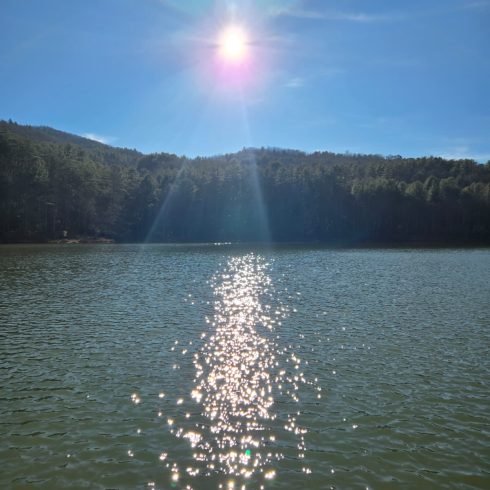 Sun shining over a calm lake with a tree-lined shore, water sparkling with reflections in the sunlight.