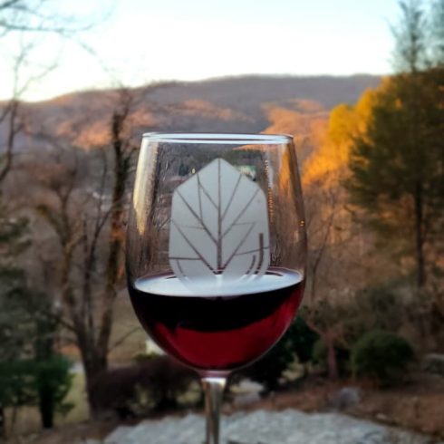 Hand holding a wine glass with red wine outdoors at sunset, with rolling hills and trees in the background, glass shows a leaf logo.