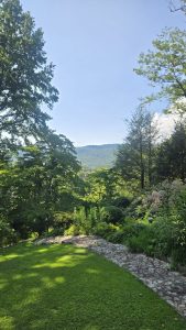 Sunny garden with a stone path winding through lush greenery and distant mountains under a clear blue sky.