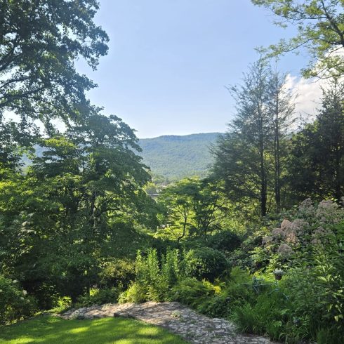 Sunny garden with a stone path winding through lush greenery and distant mountains under a clear blue sky.