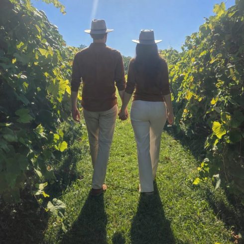 Couple walking hand in hand through a sunny vineyard between grapevines