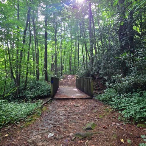 Forest trail with a small wooden bridge across a dirt path among green trees.