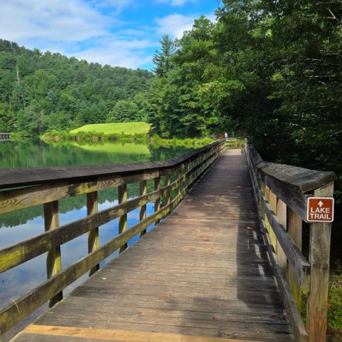 Wooden boardwalk along a calm lake, surrounded by green trees and a bright blue sky. A sign reads 'Lake Trail' at the railing.
