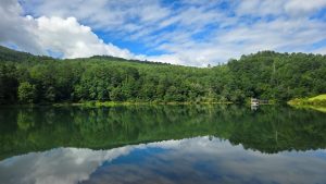 Calm lake reflecting the green forest and blue sky with white clouds; a small dock on the right shore.