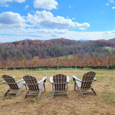Rows of empty Adirondack chairs on a grassy field overlook a vineyard and autumn-colored hills under a blue sky with puffy clouds