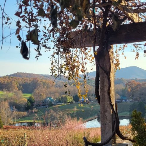 Stone railing and vines under a wooden pergola, with a valley, hills, and a lake in the distance viewed from a porch.