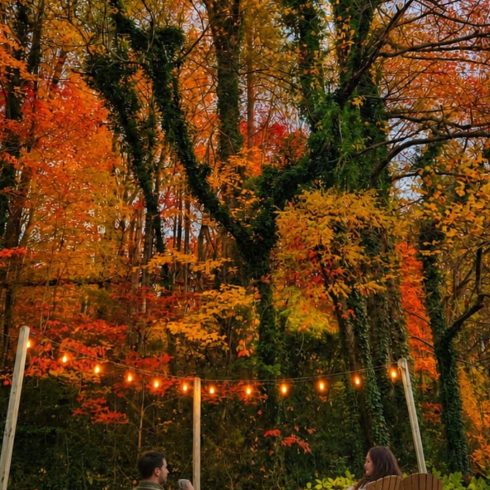 Backyard patio in autumn with orange and yellow trees, string lights, a small fire pit, and two people seated in Adirondack chairs.