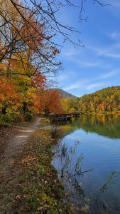 Autumn lakeside scene with colorful fall foliage along a calm lake and a wooden boardwalk stretching into the distance under a blue sky