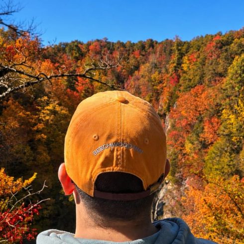 Back view of a person wearing an orange cap and light blue hoodie, overlooking a colorful autumn forest under a clear blue sky.