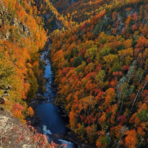Vivid autumn forest in a canyon with orange, red, and yellow trees and a dark river running along the valley floor under a clear blue sky.