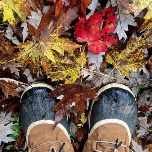 Pair of brown hiking boots standing on a bed of wet autumn leaves in red, yellow, and brown colors.