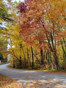 Winding road curving through a forest of autumn trees with orange, red, and yellow leaves in fall shuttle leaves on the ground nearby.