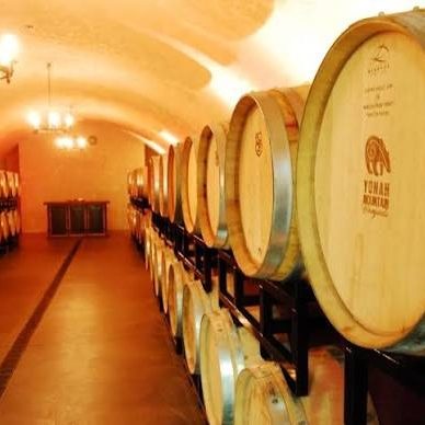 Wine cellar with rows of oak barrels on racks under a warm, arched ceiling.