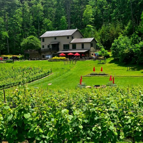 Vineyard in the foreground with rows of grapevines leading to a two-story building and red patio umbrellas on an outdoor terrace.