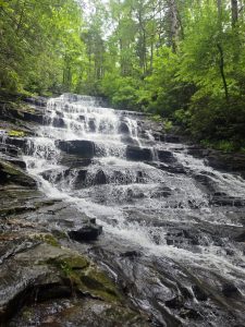 Forest waterfall cascading over dark rocks in a lush green woods setting, sunlight filtering through leaves