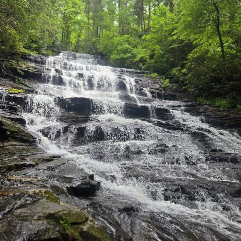 Forest waterfall cascading over dark rocks in a lush green woods setting, sunlight filtering through leaves