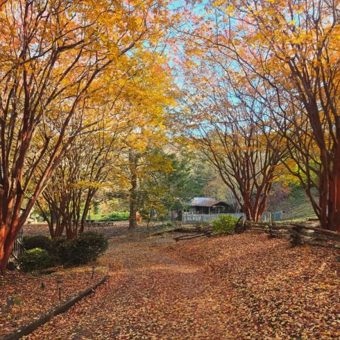 Autumn park scene: a leaf-strewn path bordered by orange and yellow trees, leading to a small gazebo in the distance.