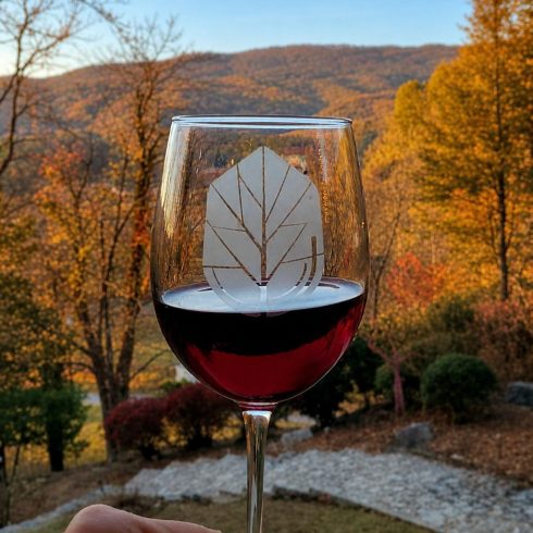 Wine glass with red wine being held outdoors, autumn trees and hillside in the background.