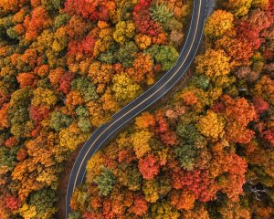 North Georgia fall scenic road aerial