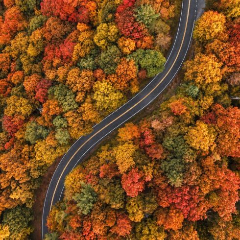 Aerial view of a winding road cutting through a dense forest in vibrant autumn colors: reds, oranges, and yellows.