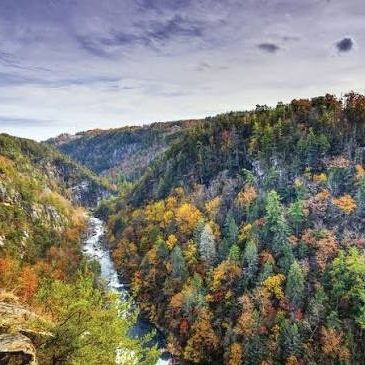 Autumn canyon view: a river cuts through a forested gorge with colorful fall foliage and rocky cliffs on both sides, seen from a high overlook.