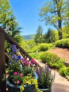 Colorful potted flowers beside the Beechwood Inn porch overlooking green mountain gardens