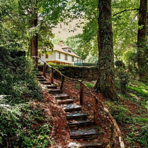 Rustic garden steps and handrail leading through summer woodland toward Beechwood Inn