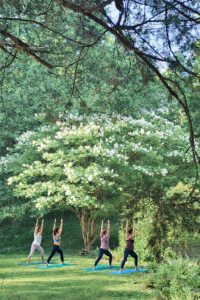 North Georgia Wellness Retreat at Beechwood Inn