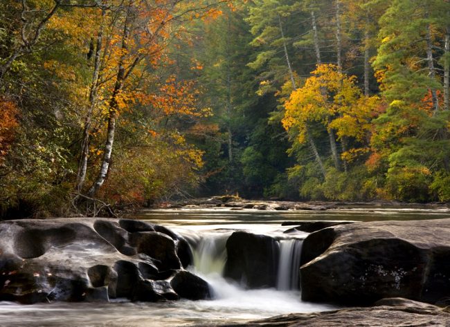 Beechwood Inn – Clayton, GA