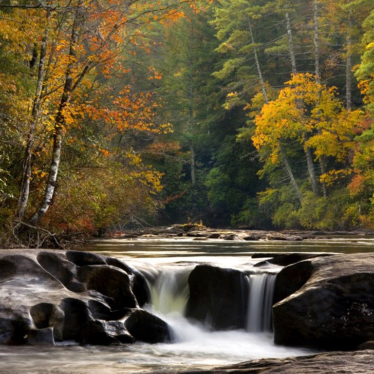 Beechwood Inn – Clayton, GA