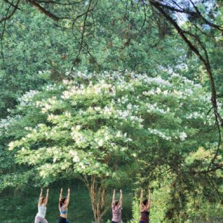 North Georgia Wellness Retreat at Beechwood Inn